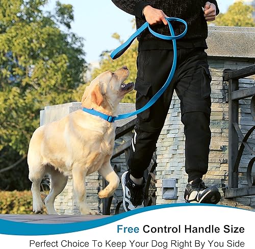 Miniatura 5 de lynxking Correa de perro de 6 pies para perros grandes, medianos y pequeños, correas de nailon resistentes resistentes para caminar y entrenar,