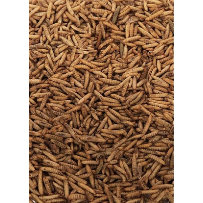 Buy Maltbys' Stores 1904 Limited Dried Calciworms 1kg Premium Wild Bird & Hedgehog Food Higher