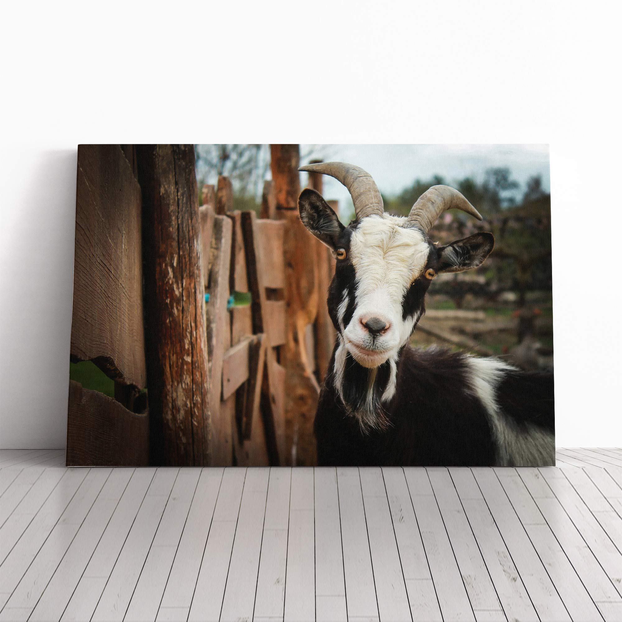 Goat Vol.3 Canvas Print | Gallery Wrapped 30mm Frame Wall Art | 30x20 inches | Ready to Hang | Modern Animals Picture | Living Room Bedroom Lounge Office