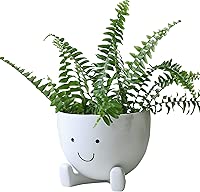AIMEBBY Face Flower Pot Face Head Planter for Indoor Plants Succulent Planters with Drainage Hole Resin Planter 4 Inches