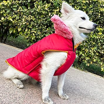 ZippyPaws Dog Winter Jacket Ultra Luxury Super Warm with Cozy Fur Cloth On Neck for Dogs 16 Inch (Colour May Vary)