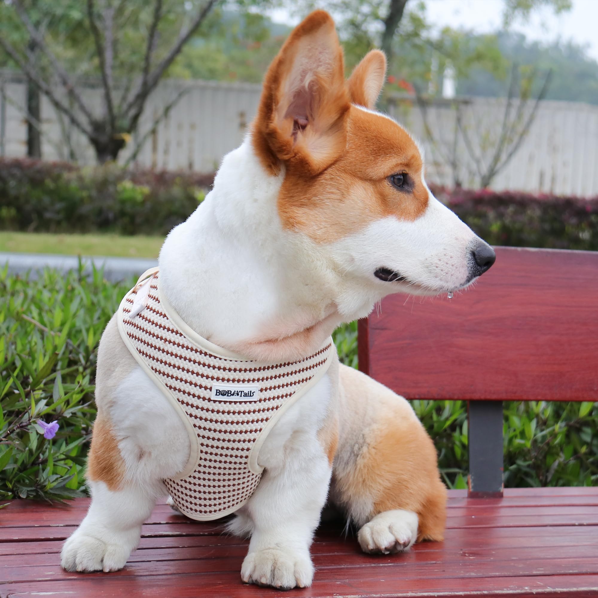 Arnés sin tirones para perros pequeños y medianos, chaleco ajustable con clip lateral, suave, transpirable, arneses de moda para caminar, correr, ir de compras (beige, XXS)