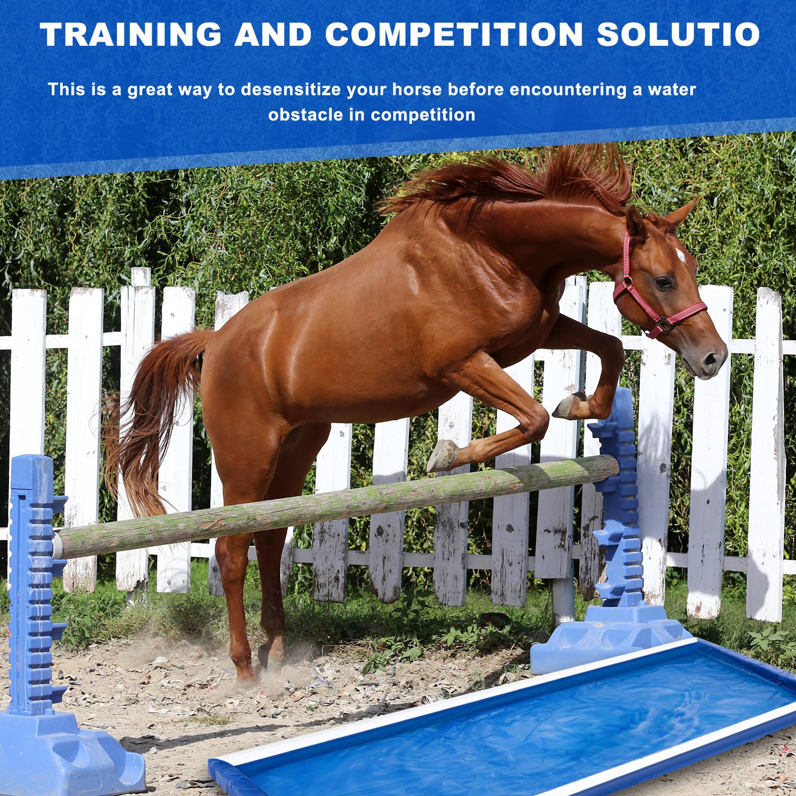 Seenelling Horse Jumps Water Jump 39