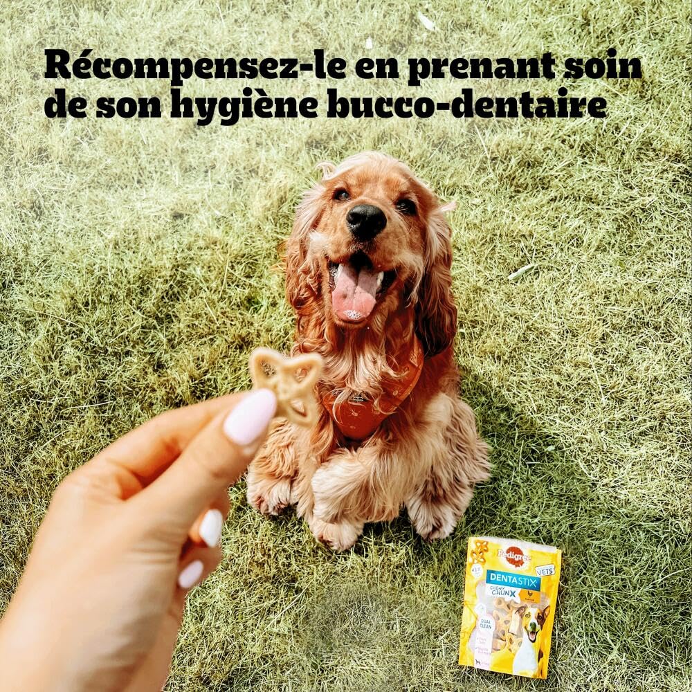 Pedigree Dentastix Chewy Chunx – Pour moyen/grand chien (15+ kg) – Friandises au poulet – Pour une bonne hygiène bucco-dentaire – 5 sachets de 68g