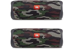 JBL Flib 5: Unmatched Audio Excellence and Durability for Amplified Outdoor Adventures