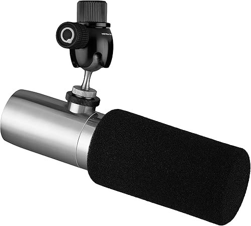 Earthworks ETHOS - Micrófono de transmisión y radiodifusión, color plateado