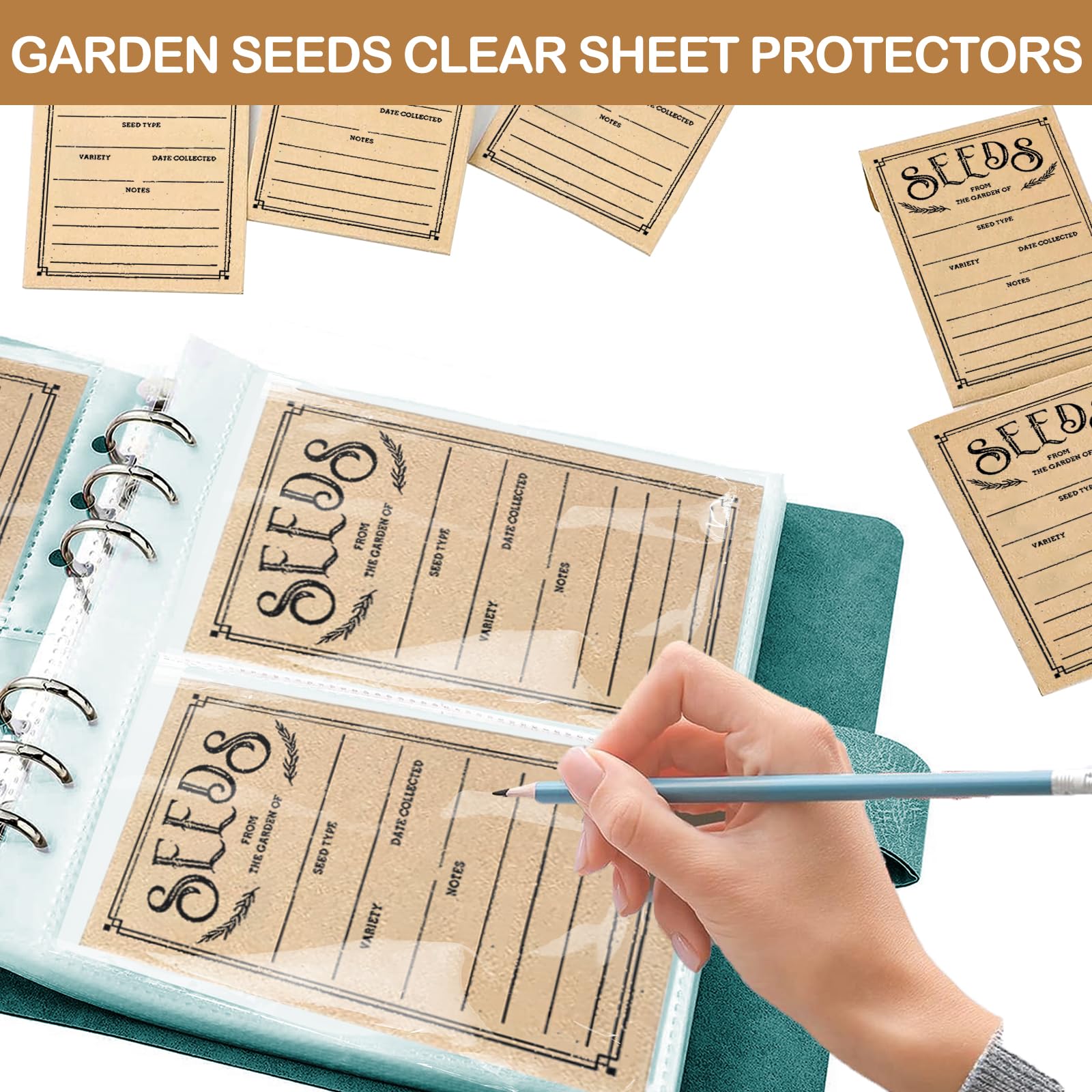 Lot de 100 enveloppes de stockage de semences, organiseurs auto-scellants pour jardin, paquets d'économie de graines idéales pour chaque jardinier (vert)