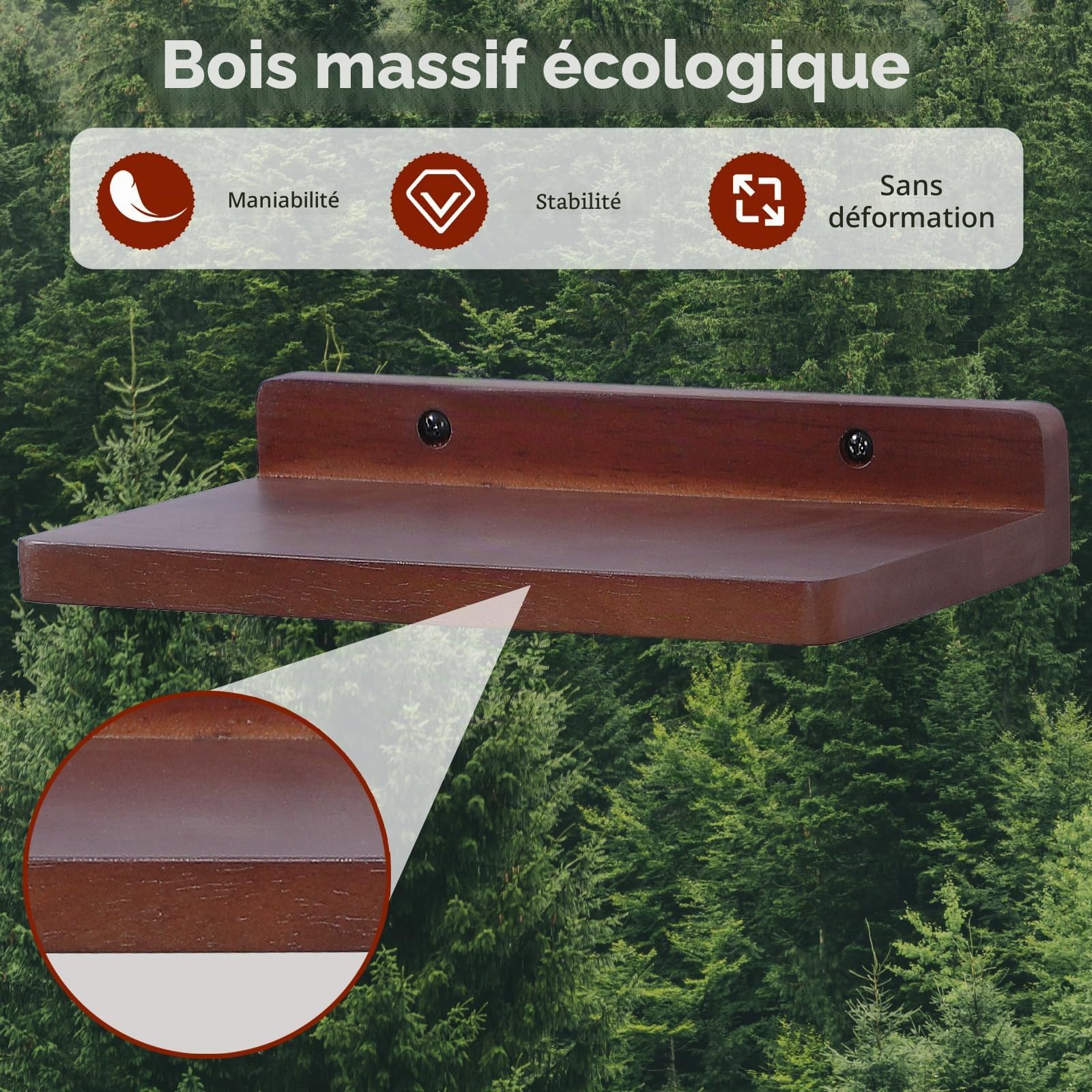 Petite étagère flottante, 12,7 x 21,6 cm, lot de 3 petites étagères murales pour chambre à coucher, salon, salle de bain, cuisine, bureau (noyer)