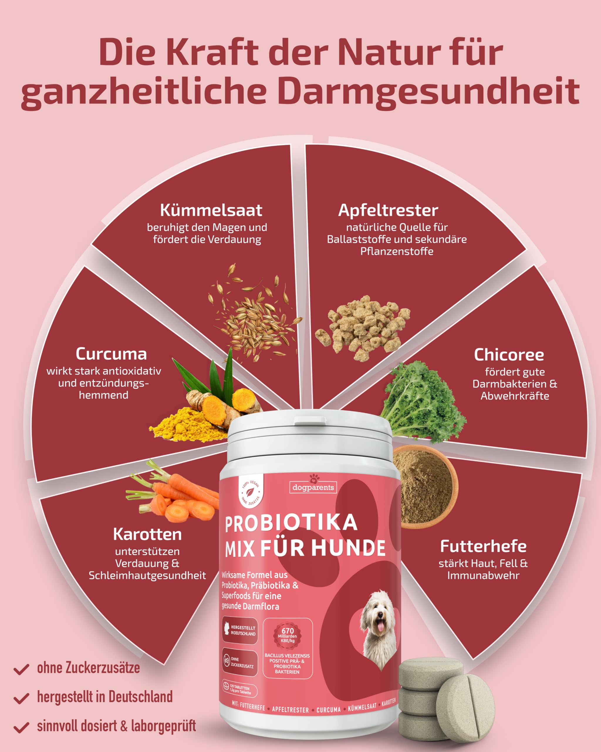 Prä & Probiotika Hund [MADE IN GERMANY, ZUCKERFREI & LABORGEPRÜFT] Darmkur mit 670 Mrd. KBE & Präbiotika – stärkt Darmflora & Verdauung – ideal nach Wurmkur, Grasfressen & Sodbrennen (180g (1er Pack))