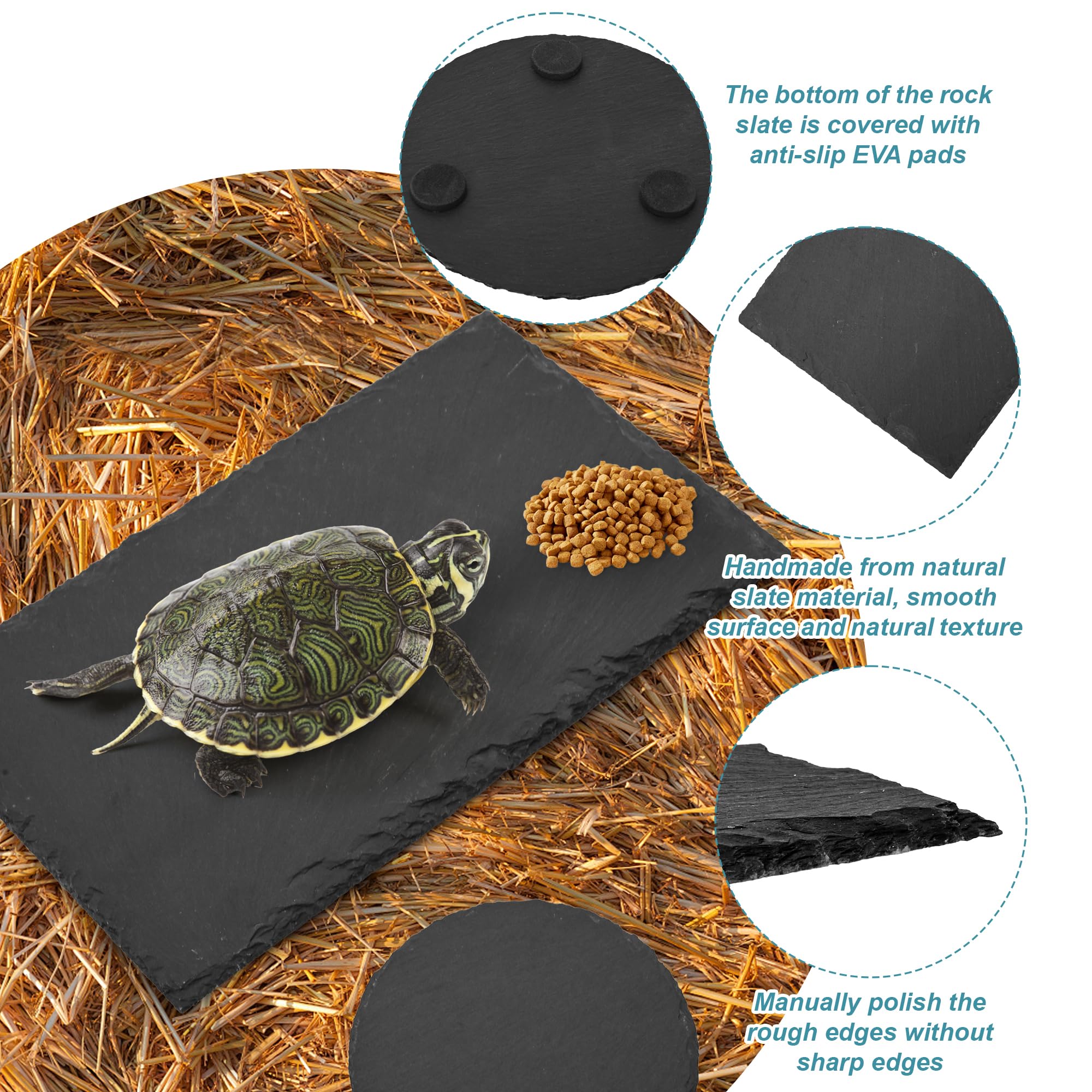 aleawol 3Pack Tortoise Slate Pad - Image 3