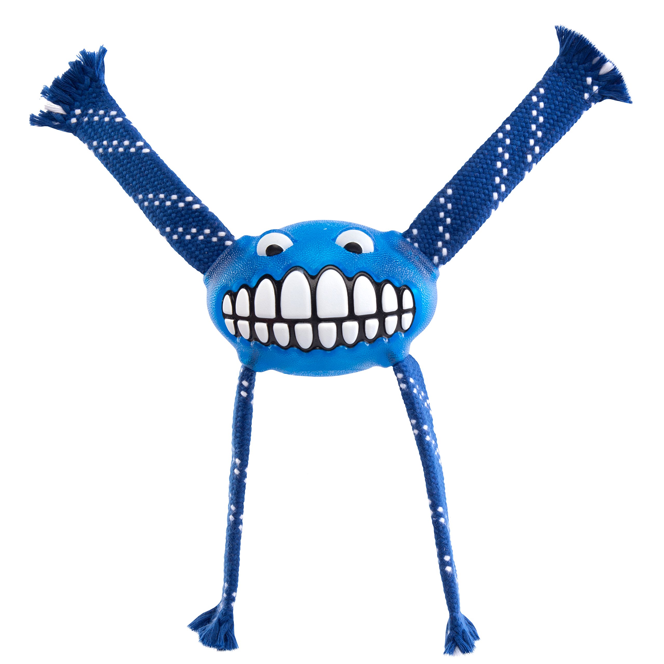 Rogz Flossy Grinz, Blue, 8.2-Inch , Medium