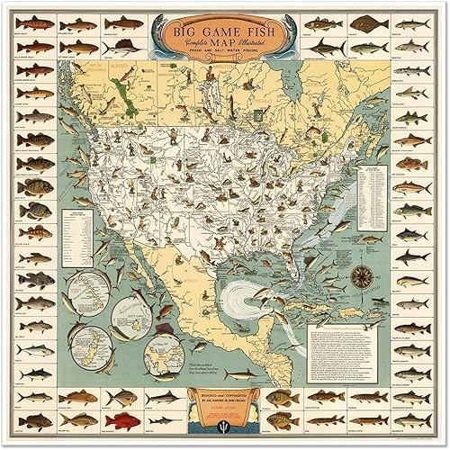 Mapa vintage de peces de caza grande de América del Norte, guía ilustrada de pesca de agua dulce y salada, impresión decorativa para pared (12 x 12