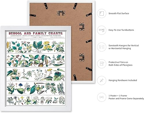 Miniatura 161 de Poster Master Póster vintage de orquídea, estampado de flores retro, arte de pared de plantas exóticas, arte botánico, regalo para hombres y