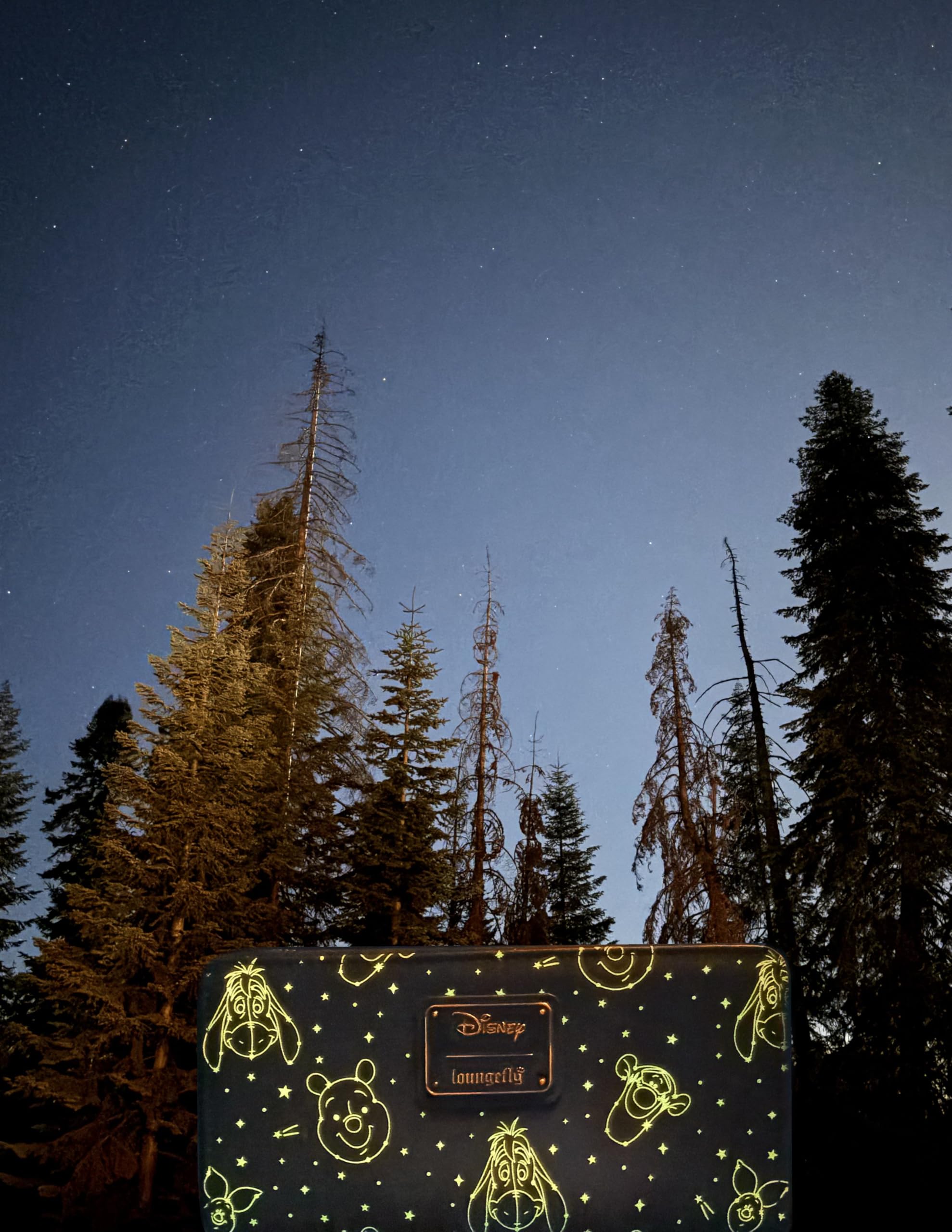 Loungefly Disney Winnie Puuh Constellation Geldbörse mit umlaufendem Reißverschluss