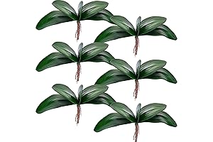 Artificial Phalaenopsis Orchid Leaves - Lifelike Houseplants with Long-Lasting Color