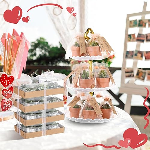 Miniatura 6 de MTLEE 24 velas suculentas a granel, velas de plantas de baby shower, velas novedosas para plantas de terrario con maceta de terracota, bolsas de