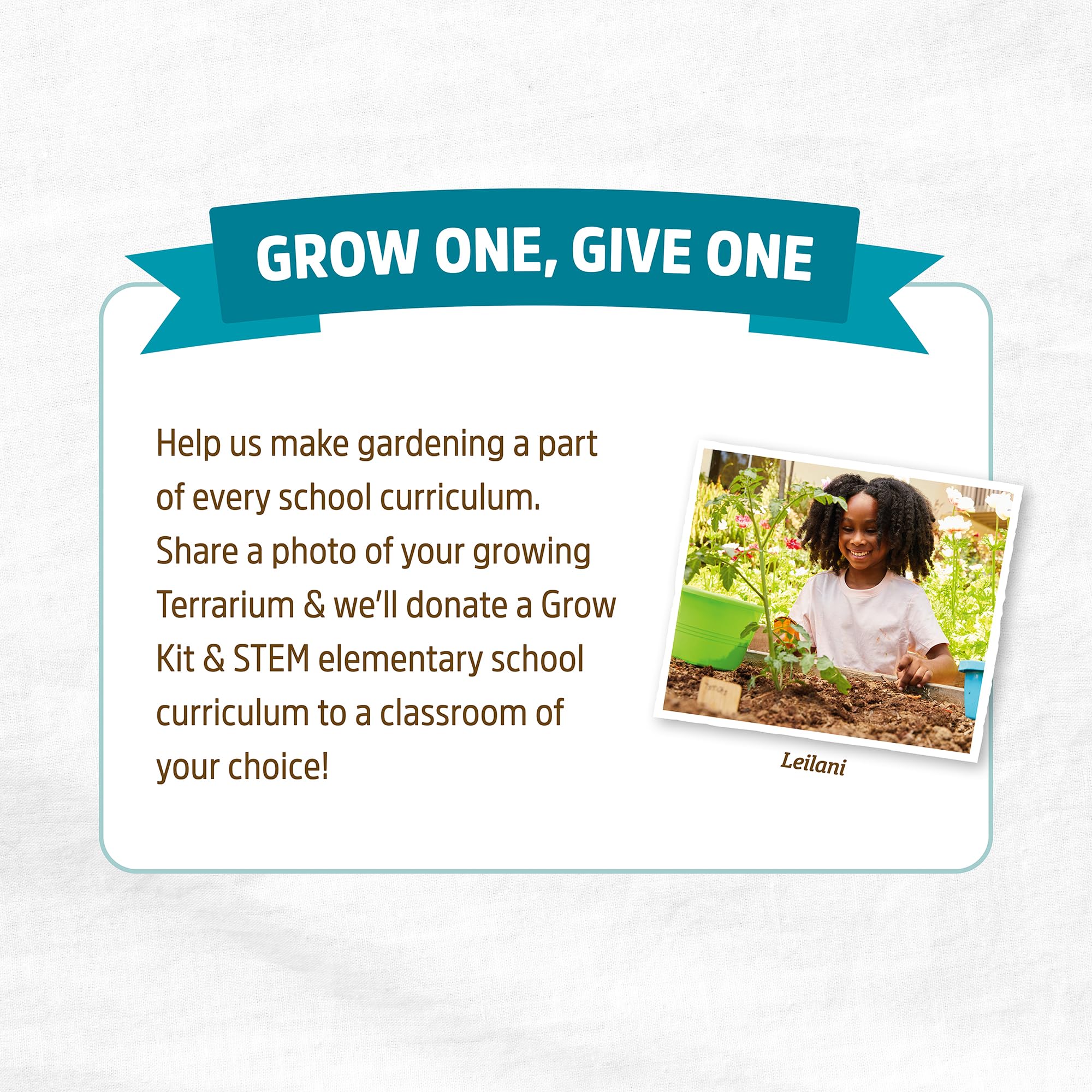 Back to the Roots STEM Certified Kids Terrarium Grow Kit - Easy-to-Use DIY Set for All Ages Small