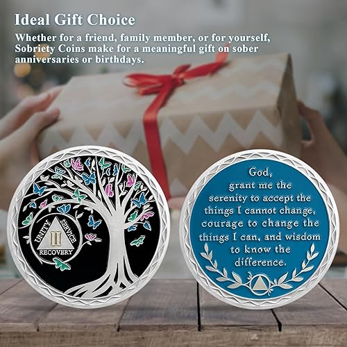 Miniatura 6 de Moneda de sobriedad de 2 años, chips AA y medallones del árbol de la vida, ficha de recuperación de sobriedad  Regalos de sobriedad para hombres y