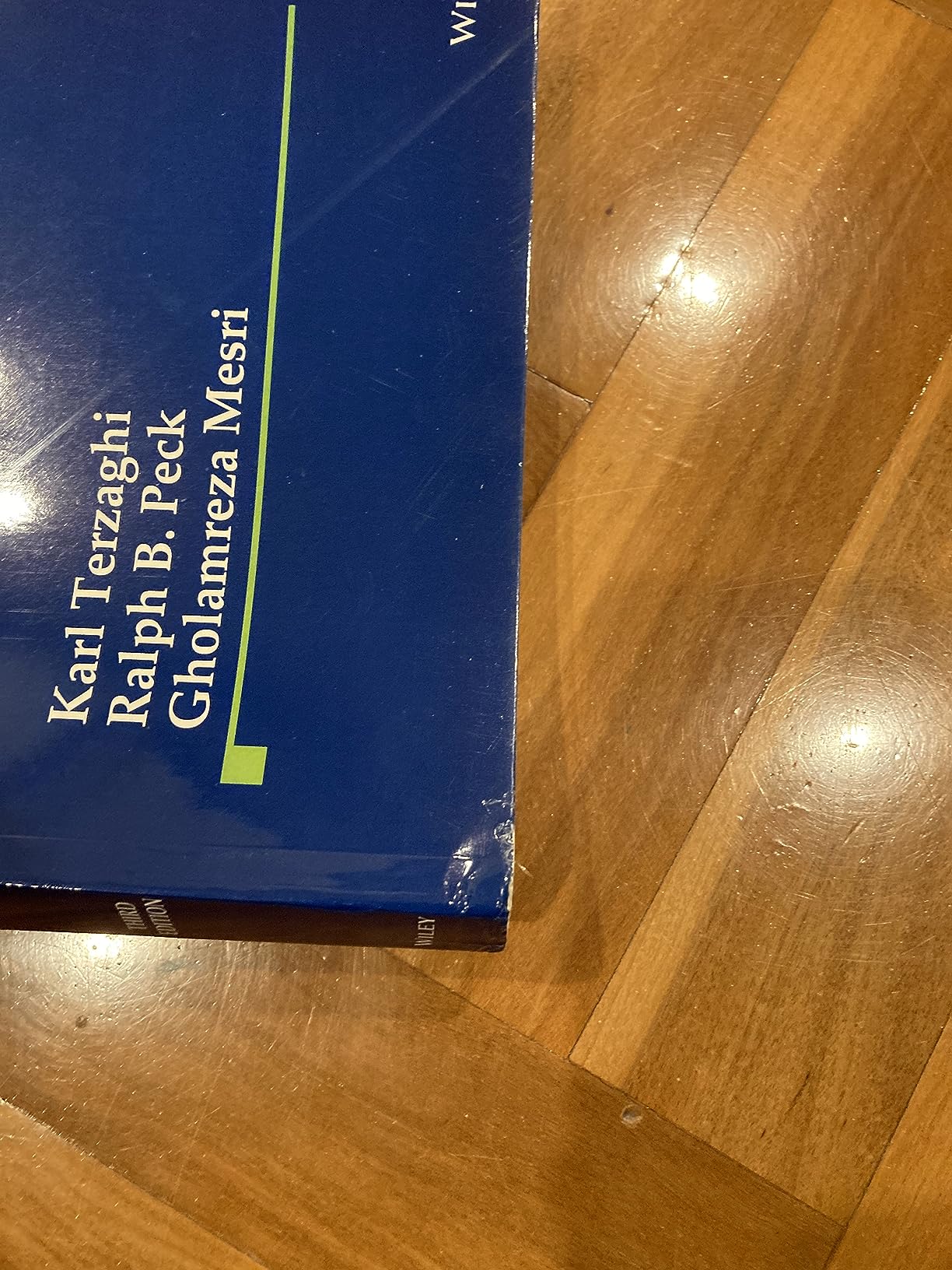 Karl von Terzaghi visual data 4