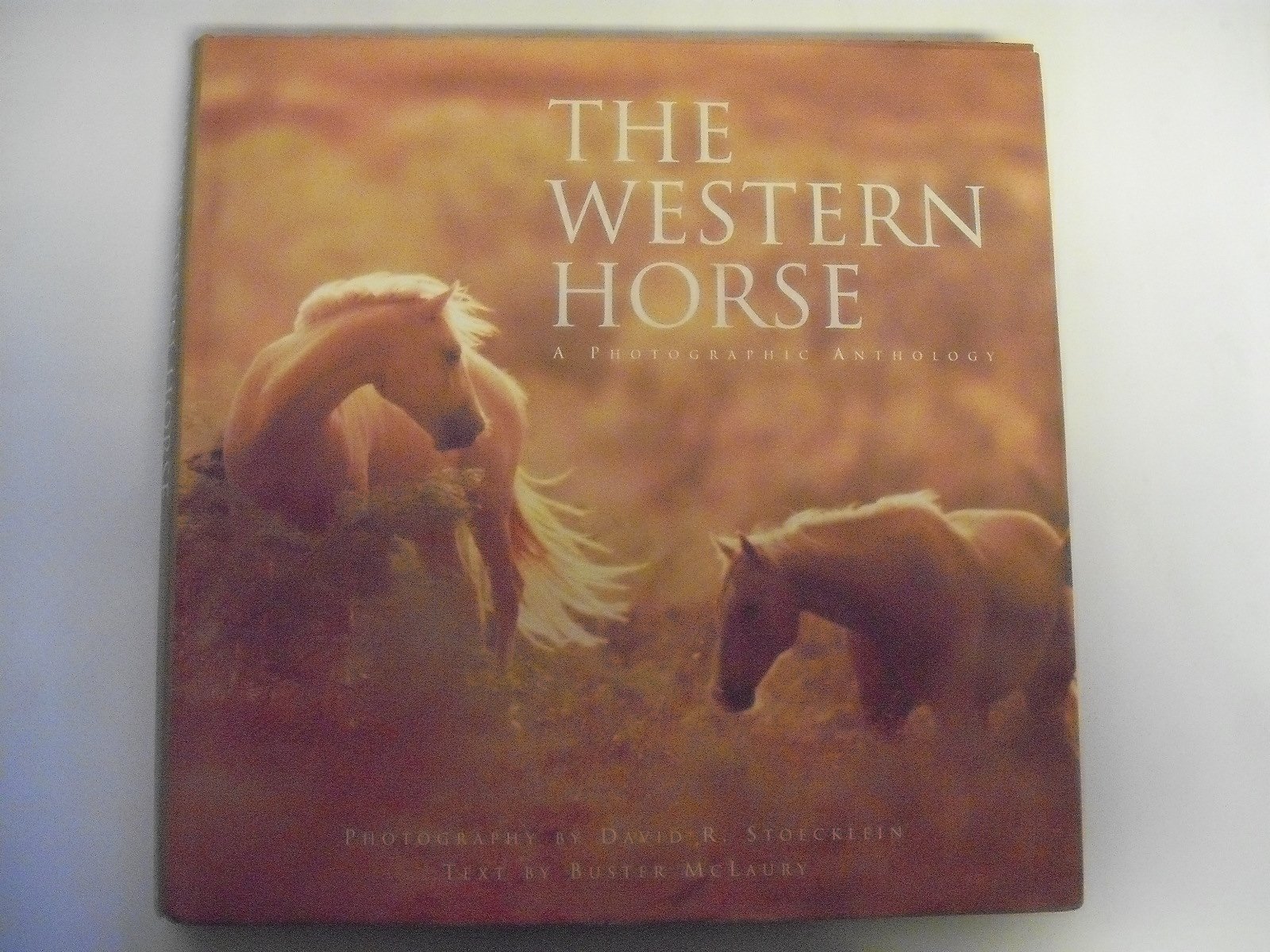 Western Horse: A Photographic Anthology