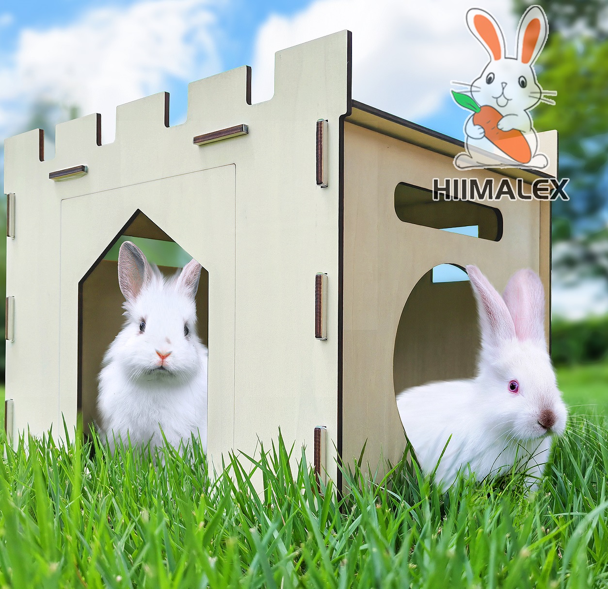 Amazon.com : HIIMALEX Large Sturdy Bunny House with Spacious