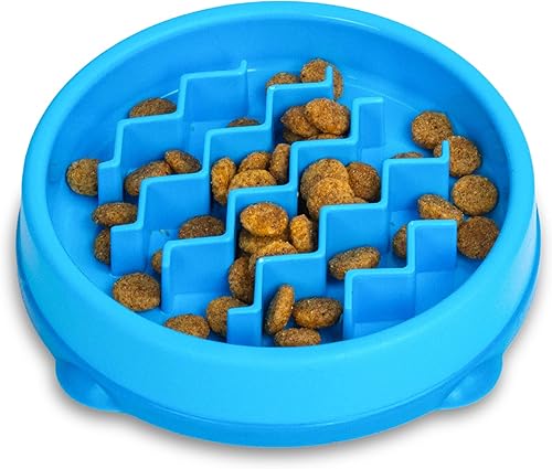 Catstages Kitty - Cuenco de alimentación lenta para gatos y perros pequeños, plato de rompecabezas para comedores rápidos, para alimentos húmedos o