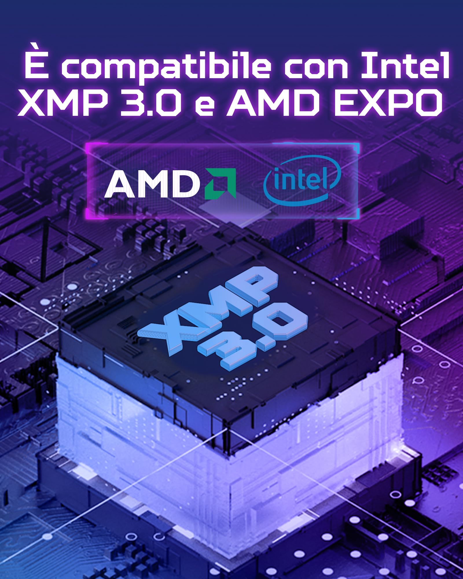 Acer Predator Pallas II DDR5 RAM 32GB (16GBx2) 6000MHz CL36 - Intel XMP 3.0 & AMD Expo - Memoria per computer gaming (Nero)