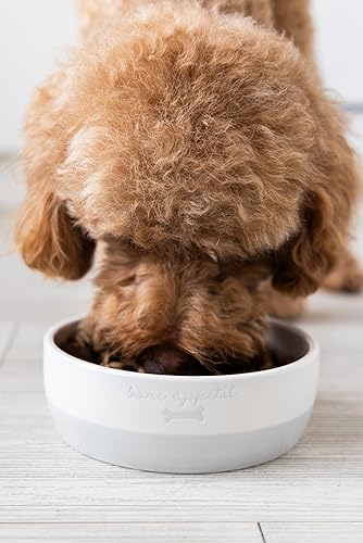 Miniatura 10 de Pearhead Ceramic Bone Appétit - Cuenco para perros, capacidad para 2 tazas, plato de gres para alimentos y agua, comedero para mascotas gris y