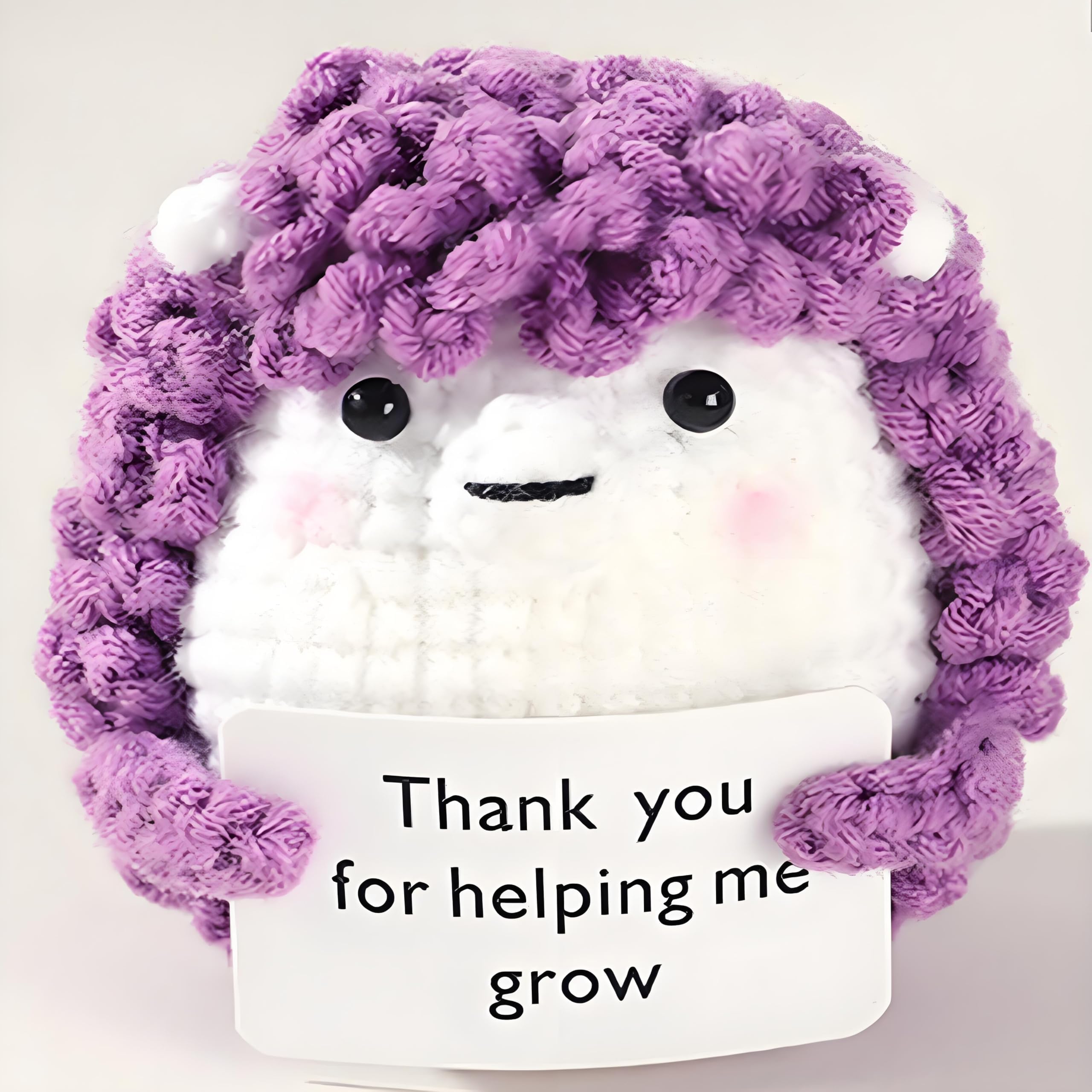 Leyiteng Presents For Teachers,Thank You Teacher Gifts,Thank You For Helping Me Grow,Unique Mentor Gift Ideas