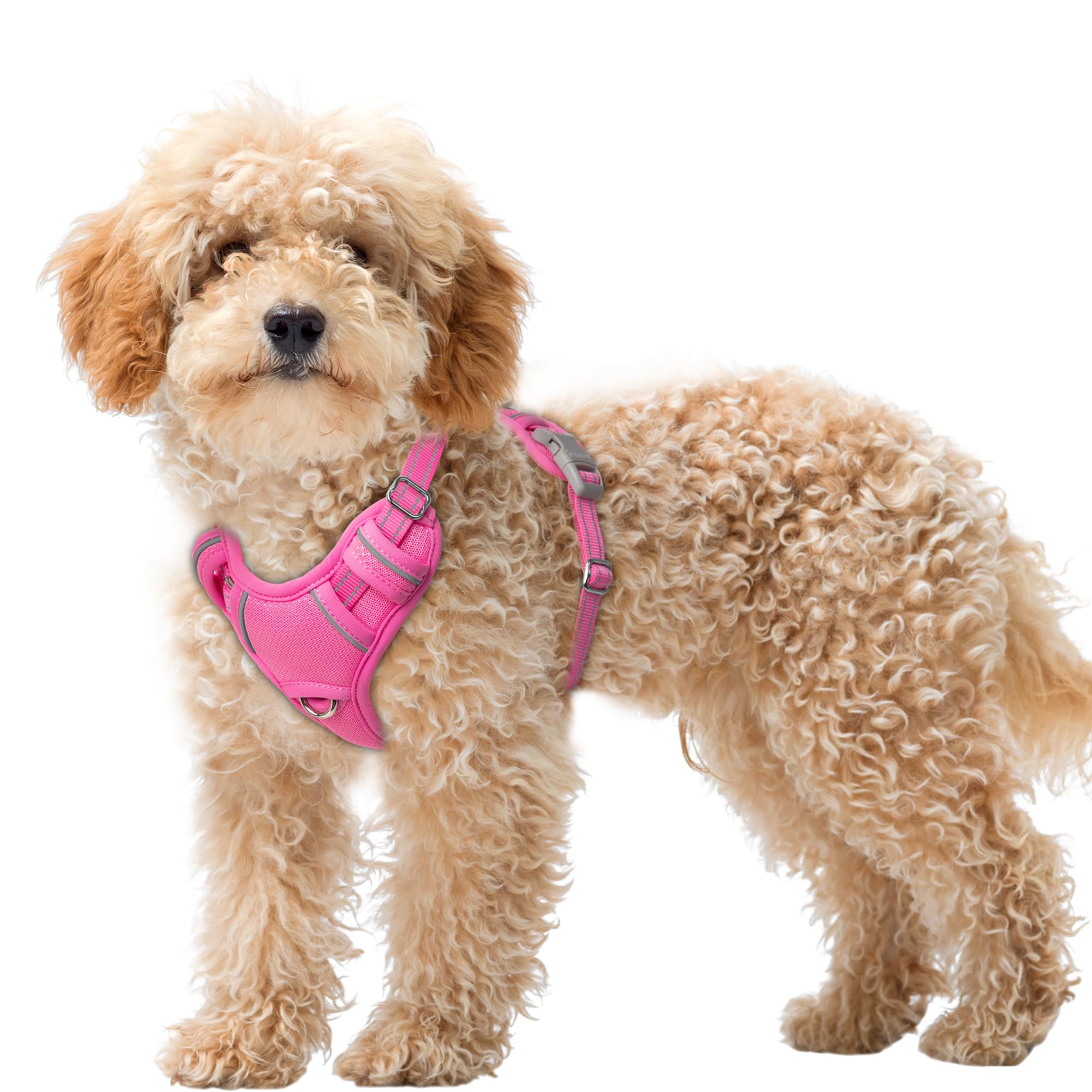 BARKBAY No Pull Dog Harness Large Reflective Dog Harness with Front Clip and Easy Control Handle for Walking Training Running with ID tag Pocket(Pink,XS)