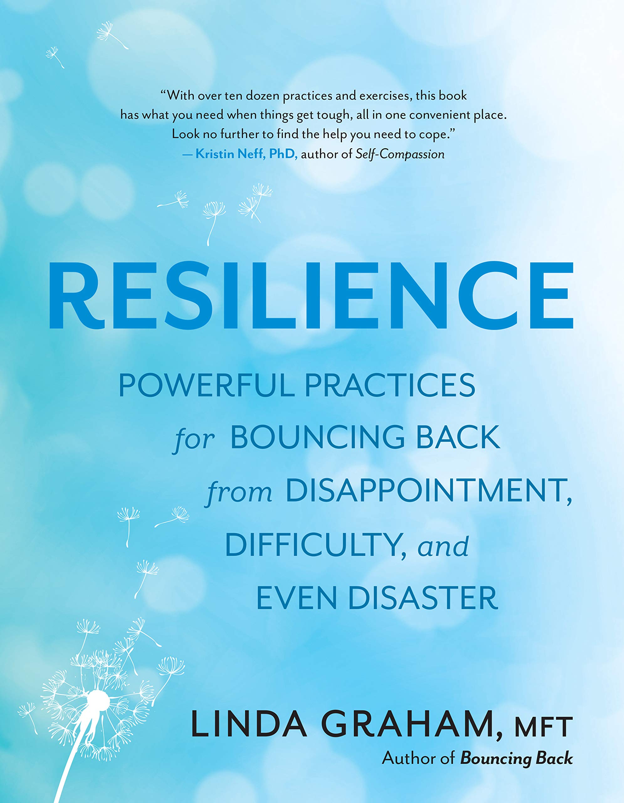 The Resilience Toolkit: Powerful Practices for Bouncing Back from Disappointment, Difficulty, and Even Disaster