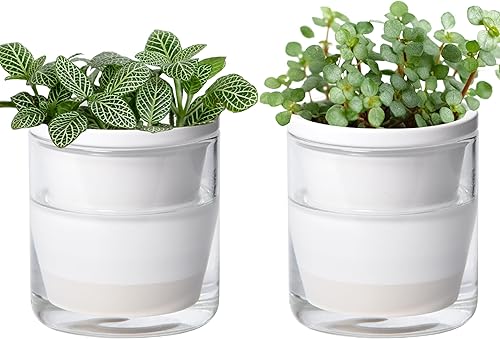 Miniatura 1 de D'vine Dev 373-A-2 - Maceta de riego automático de 4 pulgadas para plantas de interior, macetas de terracota blanca con vaso cilíndrico de vidrio,