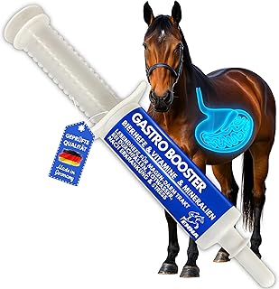 Pùte Gastro-intestinale Probiotiques Levure de biÚre Cheval I Vitamine E I Culture de levure Flore intestinale Gastro-intestinal - vitaminée I aprÚs colique Ecume diarrhée métabolisme Cheval 30ml