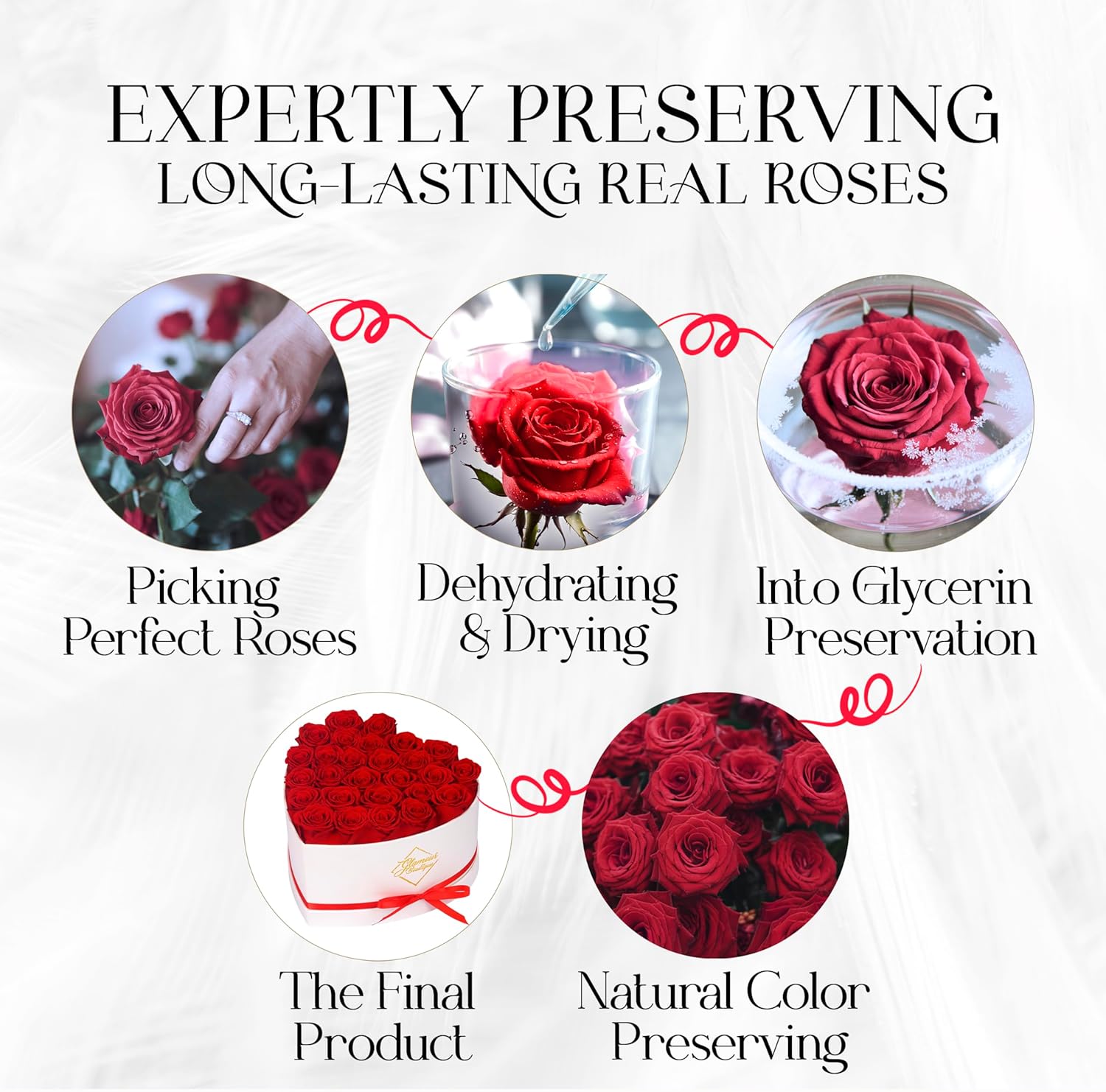 GLAMOUR BOUTIQUE Preserved Roses in a Box - Gifts for Her, Wife & Mom, Rose Flowers Forever Decor for Birthday Gift, Get Well Flower Bouquet Cased in White Box with Cover - Red - 27 (Color-Treated) - Image 7