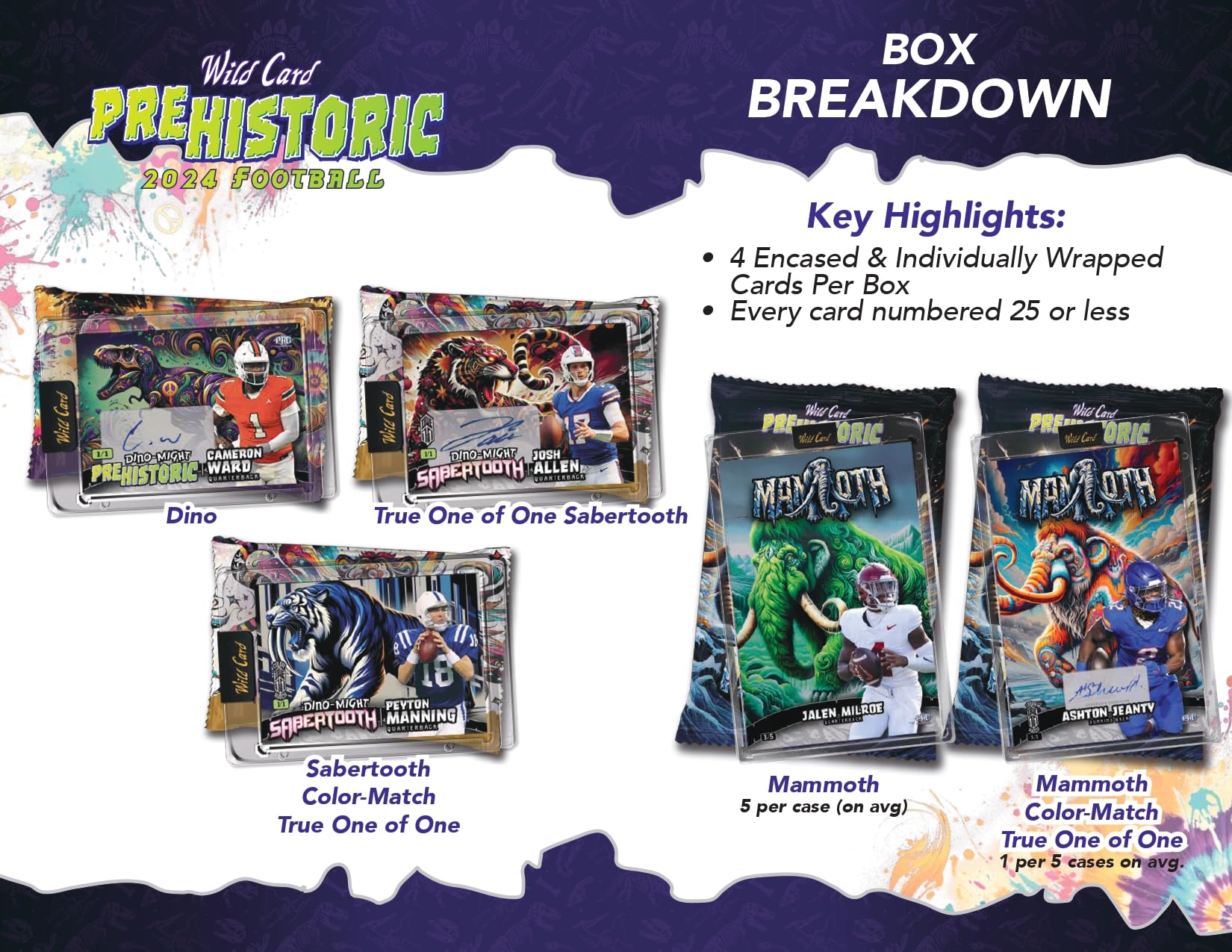 Amazon.com: 2024 Wild Card Pre-Historic Football Hobby JUMBO