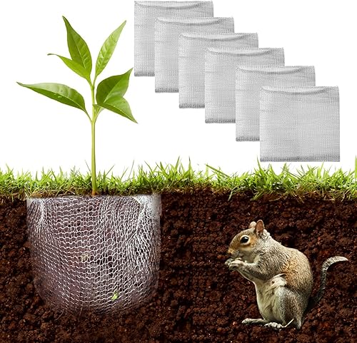 HAHAKU - Paquete de 6 cestas de protección de raíces de plantas de 14 x 14 pulgadas, cestas de alambre de acero inoxidable de 3 galones que protegen