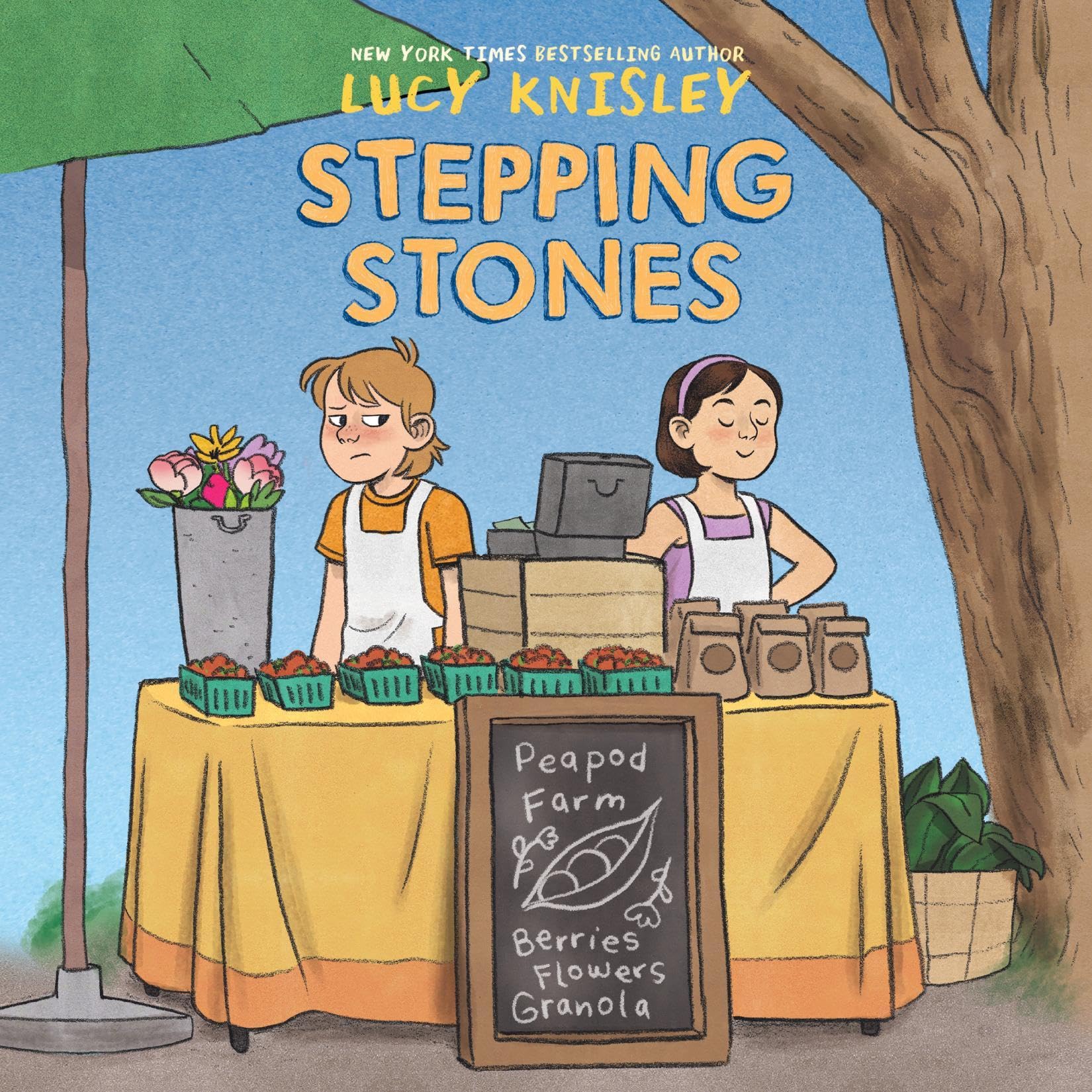 Cover art for Stepping Stones