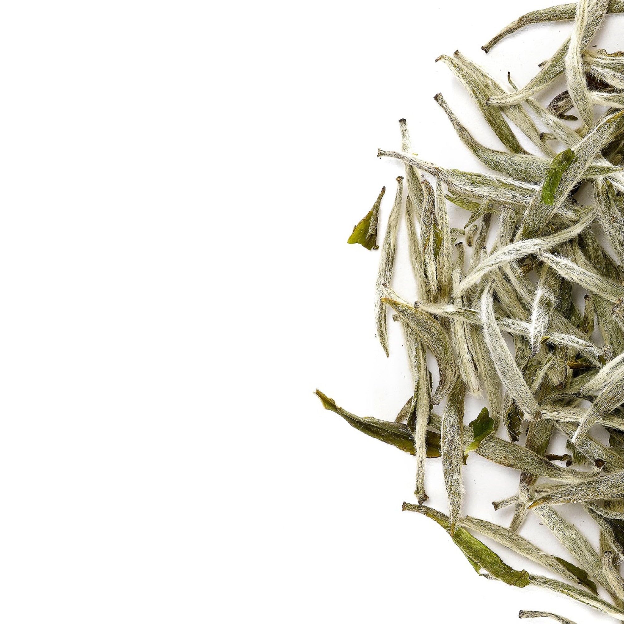 Baihao Yinzhen Thé Blanc Chine - Aiguilles D'Argent Thé Chinoise - Silver Needle - Bai Hao Yin Zhen Aiguille Chinoise Needles Feuille D Argent Tisane Bio Thé Chinois 40G | cueilli à la main pour une liqueur douce aux notes florales et sucrées