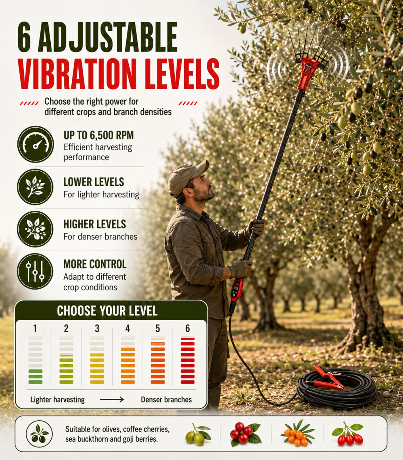 Raccoglifrutta Elettrico Senza Fili 600W | Per olive, noci, chicchi di caffè e bacche