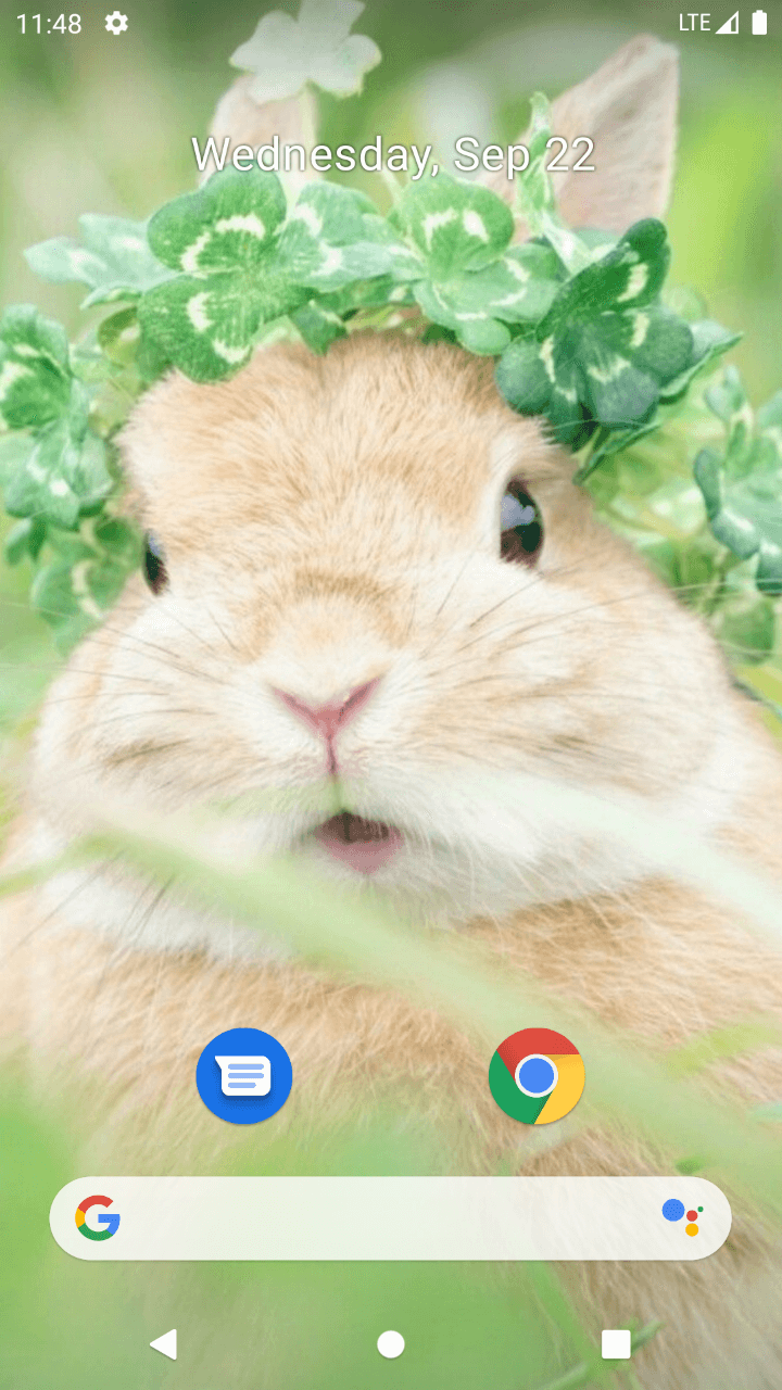 Xbox Rabbit Backgrounds Rabbit Wallpaper - App on Amazon Appstore