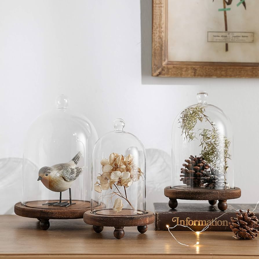 Amazon.co.jp: KMwares ガラスベル型ドーム3個(5.7インチ/4.9