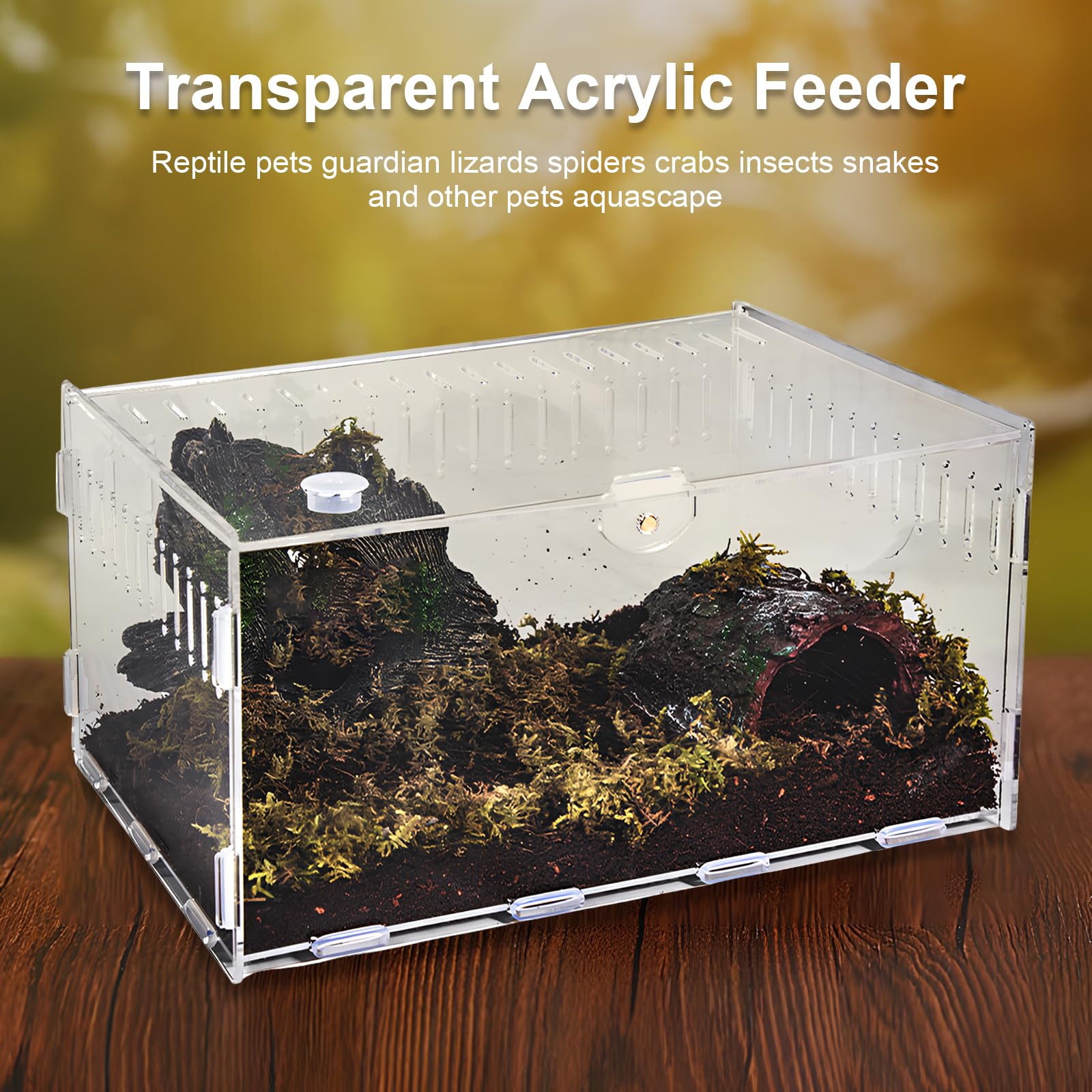 Terrarium à Escargots, Récipient en Acrylique d'Insecte, Terrarium Transparent pour Lézards, Terrarium pour Reptiles, Habitat Portable pour Reptiles et Amphibiens, Grenouilles, Scorpions (20×12×12cm)