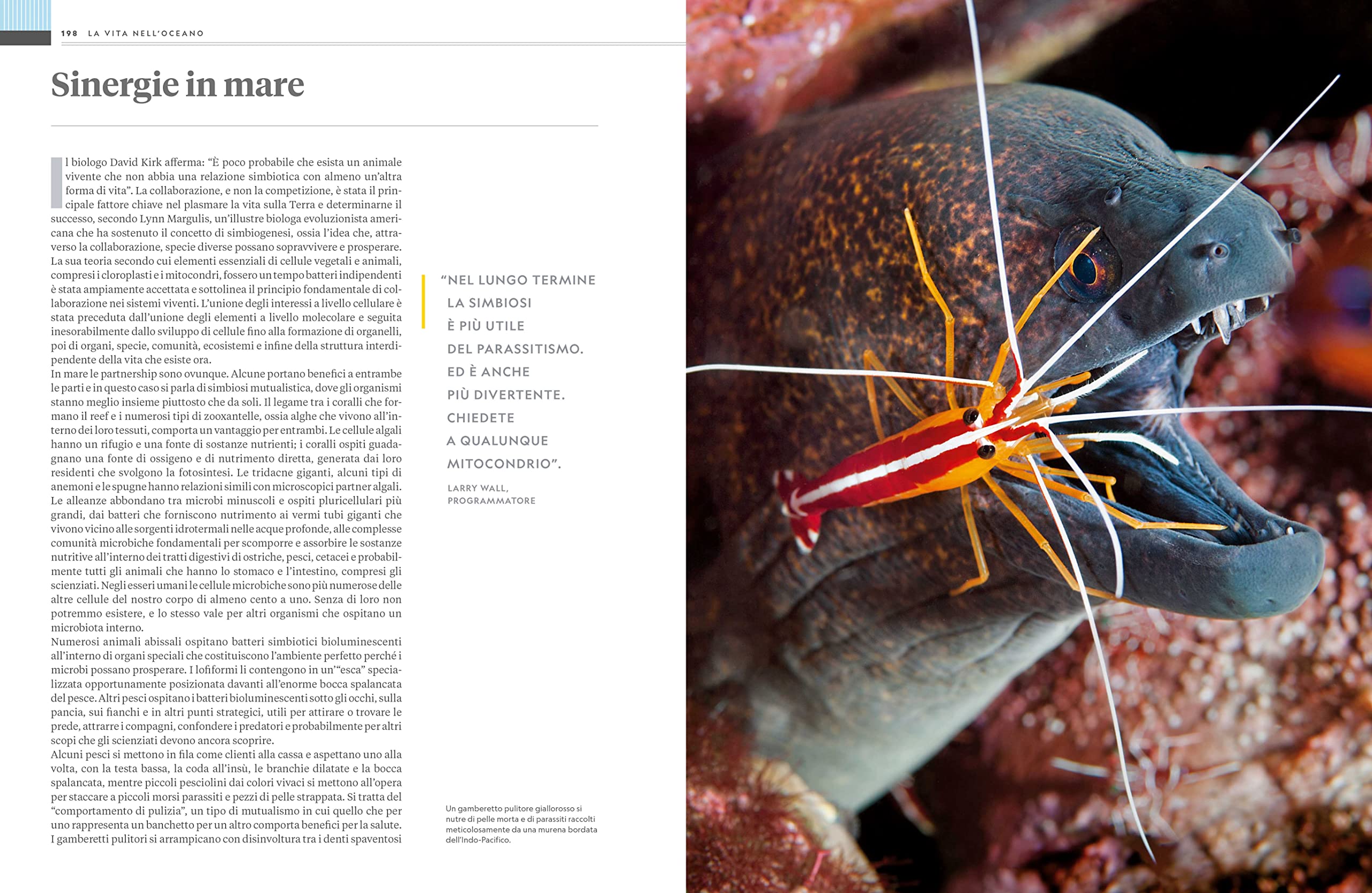 NATURA E POPOLI - Oceani: L'ultima odissea | National Geographic | Edizione Illustrata | Impegno Globale per la Natura