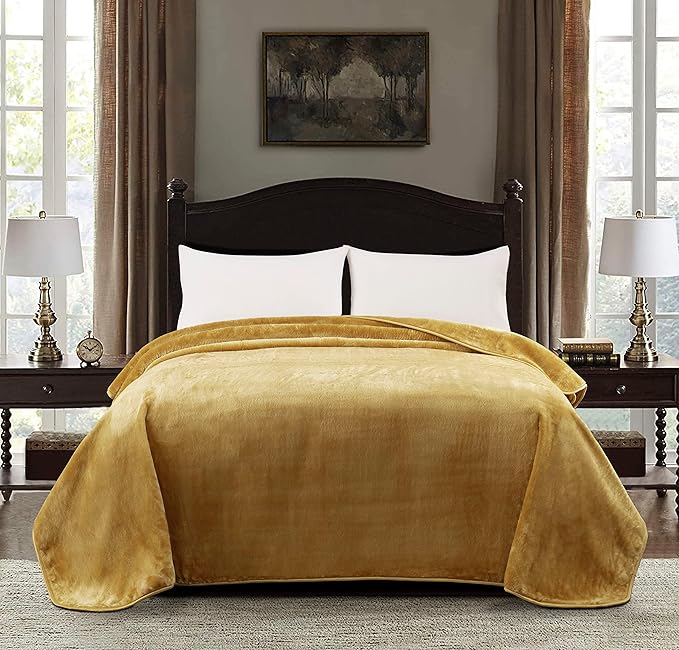 Chezmoi Collection Heavy Single Ply 9 Lbs Korean Style Faux Mink Blanket, 750GSM