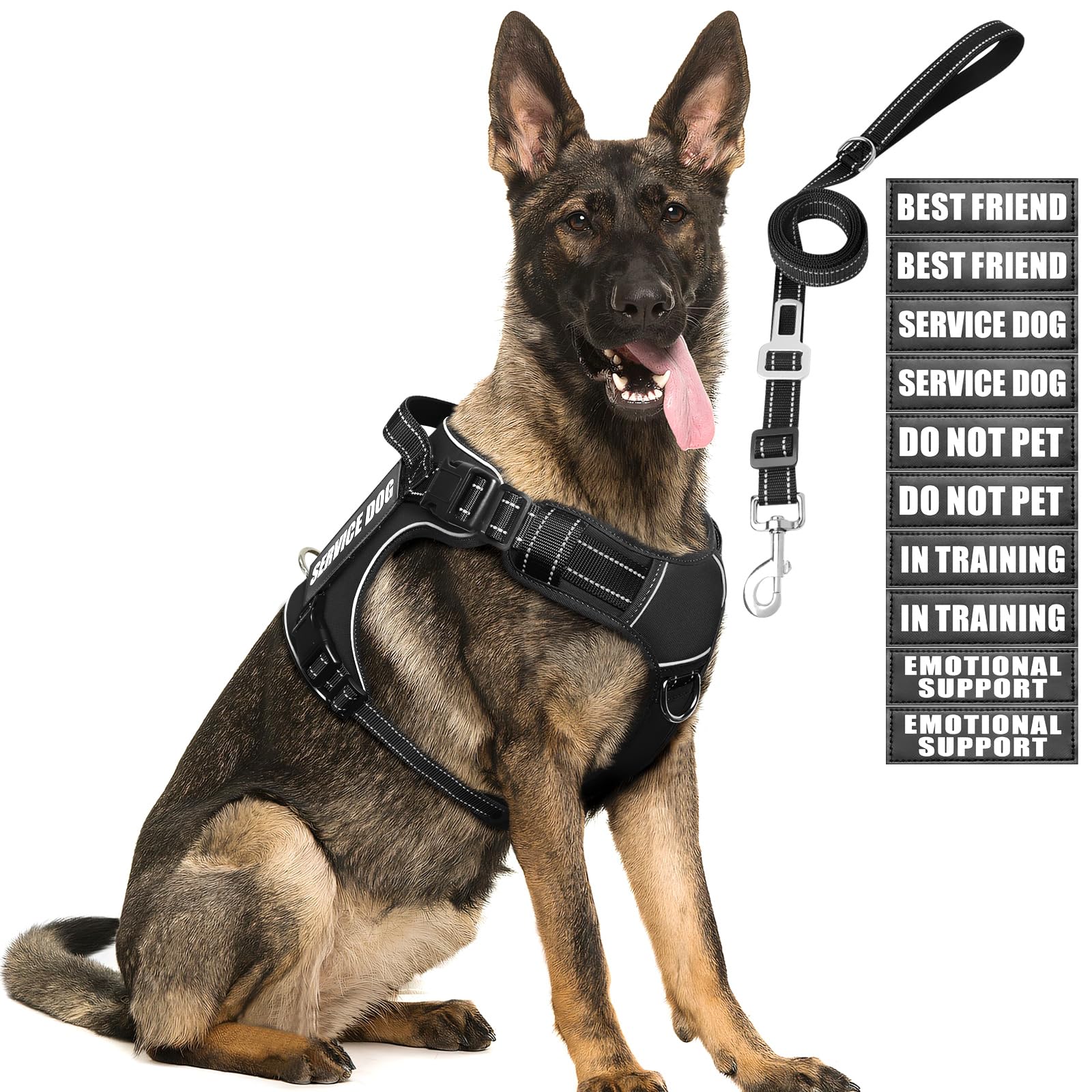 MOOGROU Tactical Dog Harness and Leash Set for Large Dogs