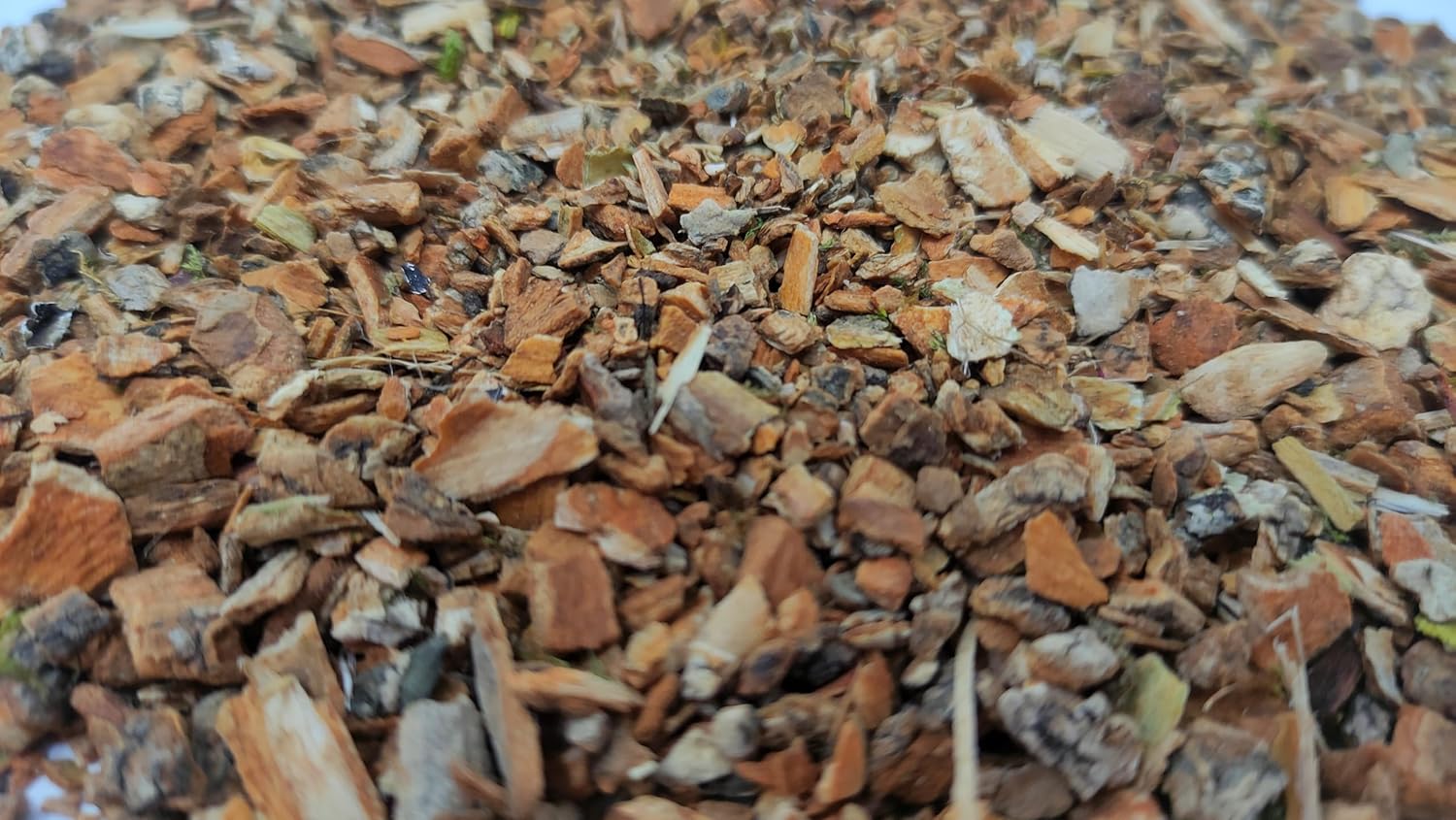 Cramp Bark, Made from 100% Viburnum Opulus Bark, Cut & Dried - Net weight: 1.5oz/42.5g. Other Common Names Include Water Elder, Snowball Tree, Common Snowball and European Cranberrybush. - Image 5