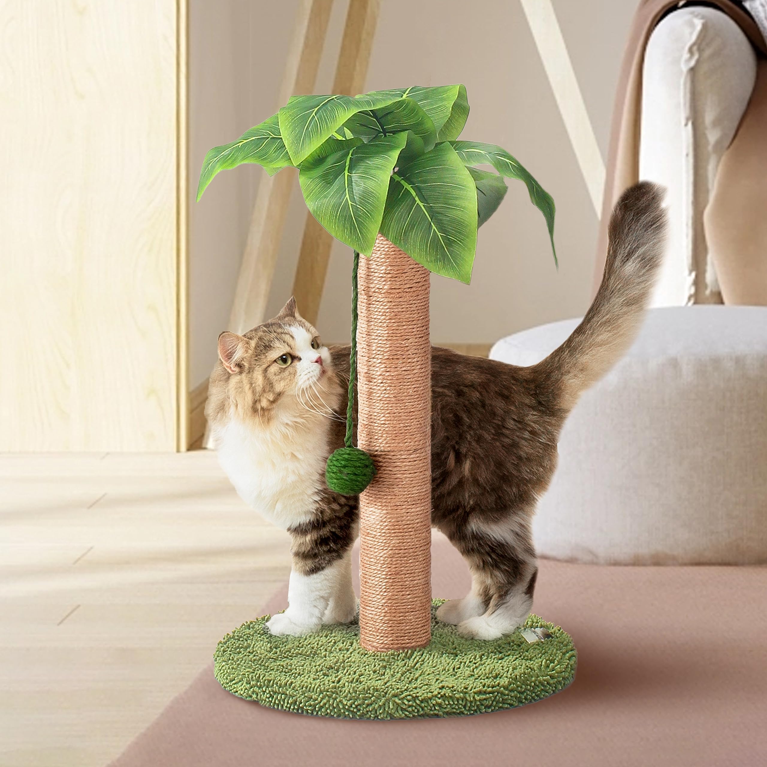 Cat Scratcher Post Small Cat Scratch Pole with Premium