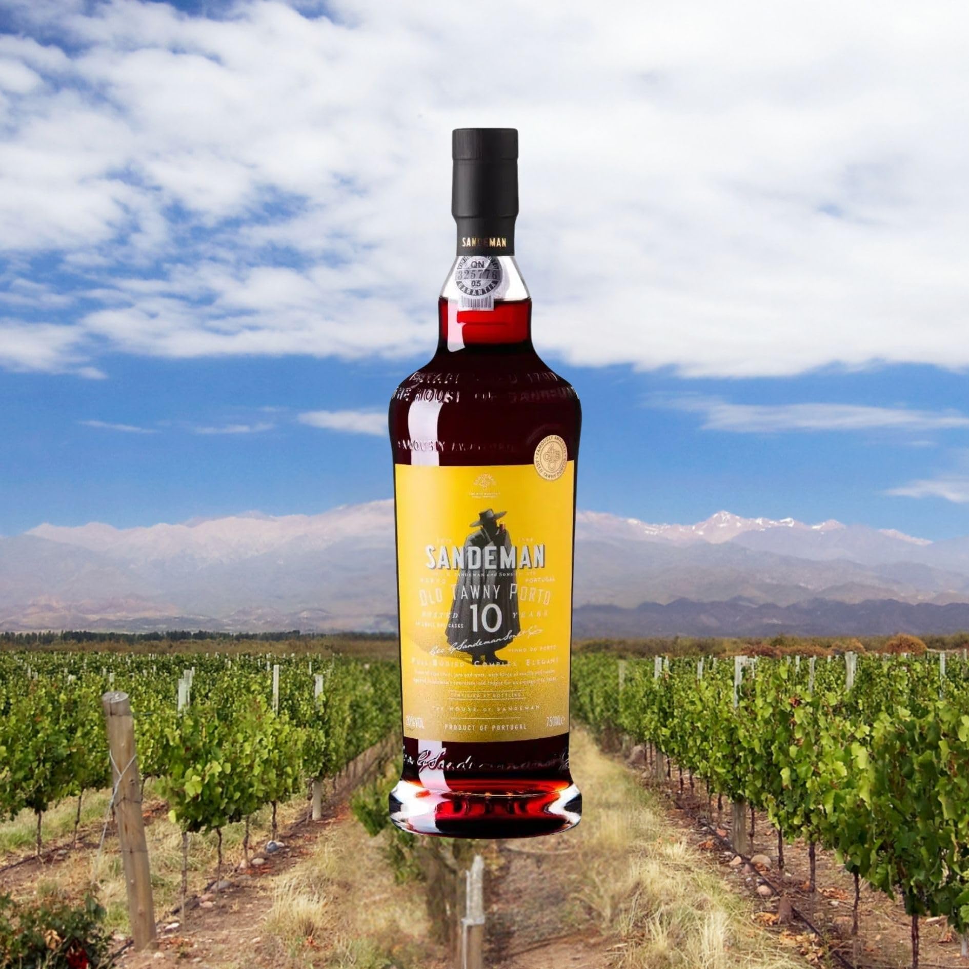 Vin de Porto Sandeman 10 years - Vin Fortifié