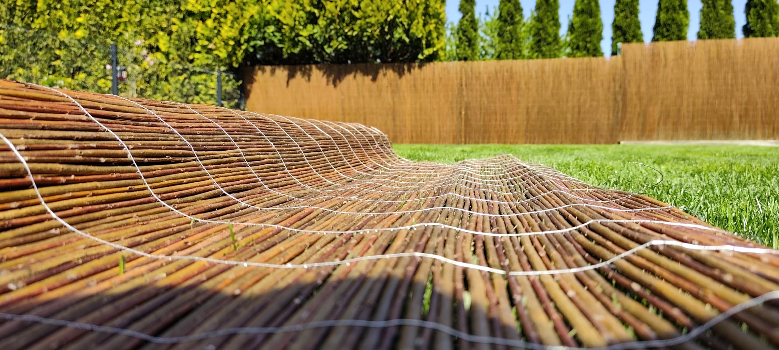 Canisse Osier 100 x 500 cm Clôture de Saule -Canisse Brise Vue Balcon et Patio - Cloture Jardin Exterieur - Protection Contre Le Vent & Le Soleil - 100% Naturel
