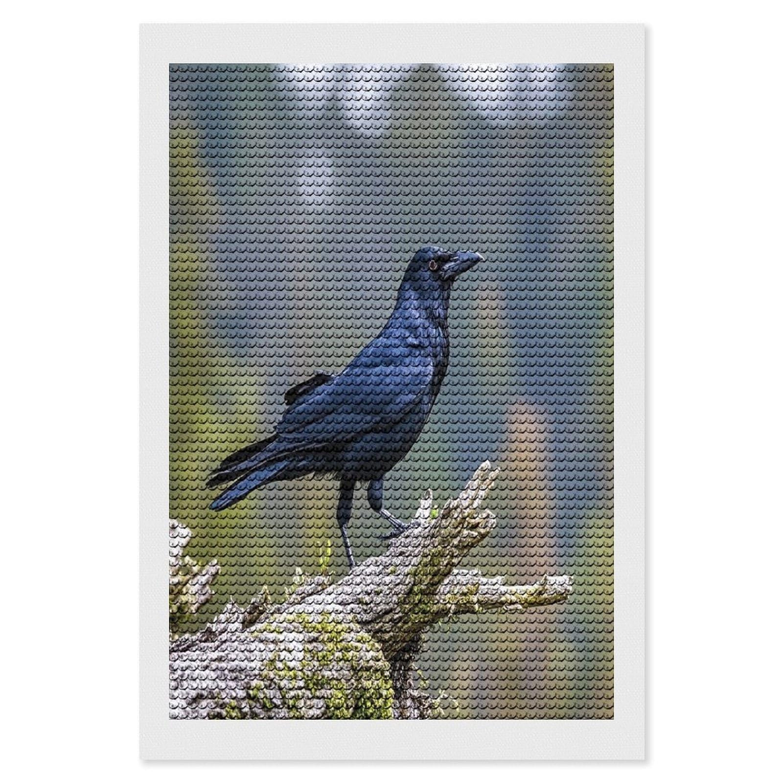 FekiLoot Black Crow Birds Diamond Painting Kits for Adults Round Paint with Diamonds Pictures Gem Art Painting Kits Personalized Diamond Art Full Drill for Beginners Home Wall Decor
